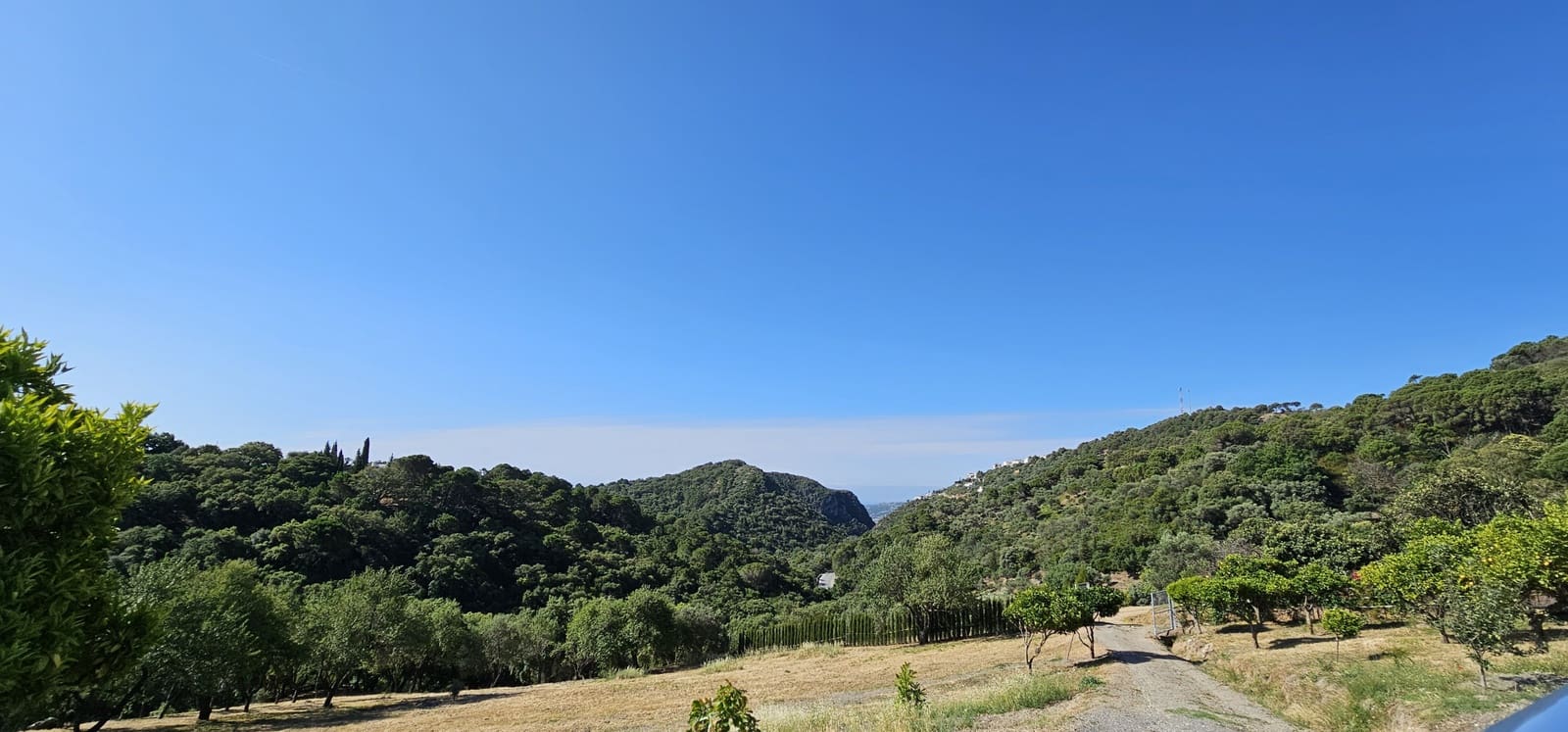 Bauplatz zu verkaufen in Casares - 480.000 € (Ref: 7793121)