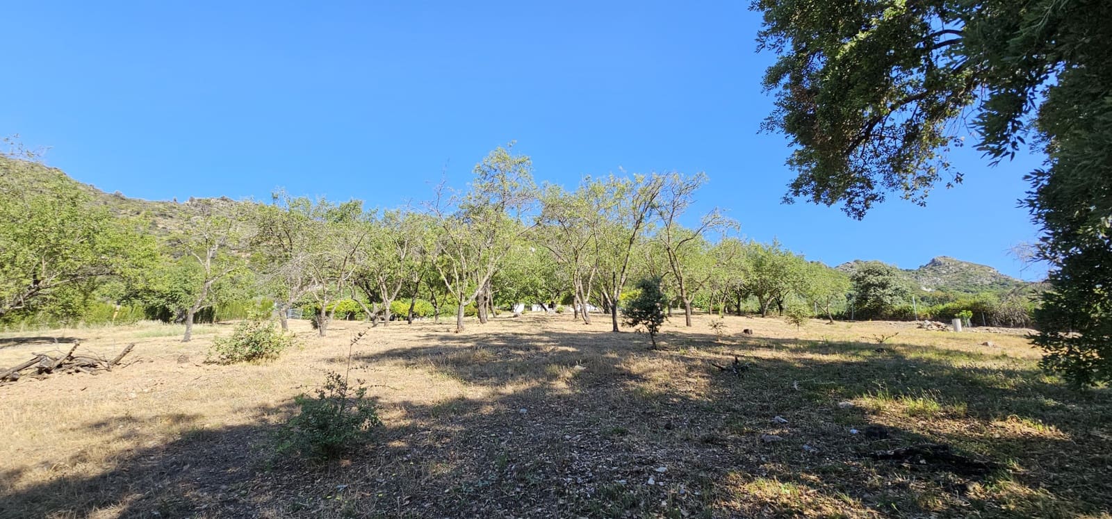 Bauplatz zu verkaufen in Casares - 480.000 € (Ref: 7793121)