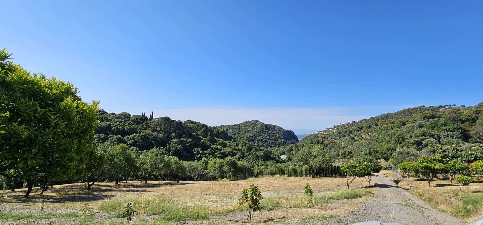 Bauplatz zu verkaufen in Casares - 480.000 € (Ref: 7793121)
