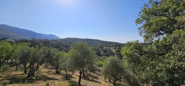 Terrain à Bâtir à vendre à Casares - 480 000 € (Ref: 7793121)