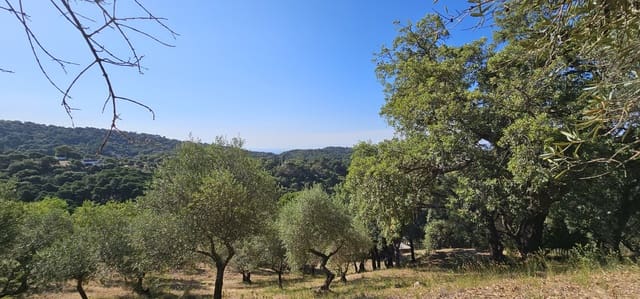 Terrain à Bâtir à vendre à Casares - 480 000 € (Ref: 7793121)