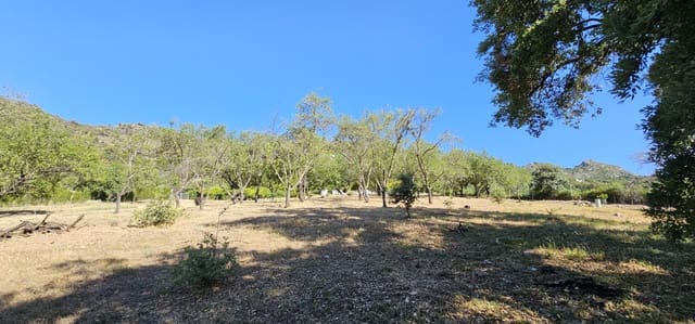 Terrain à Bâtir à vendre à Casares - 480 000 € (Ref: 7793121)