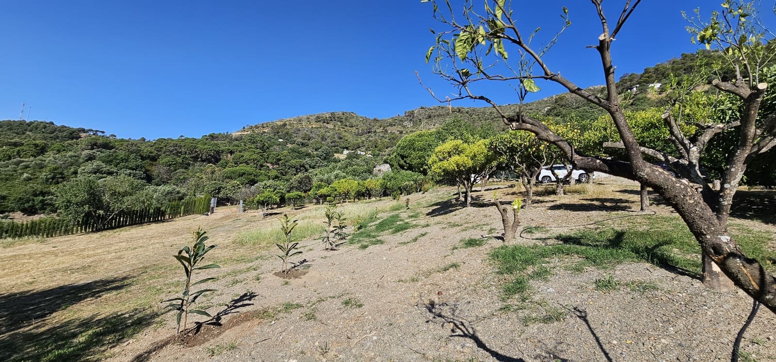 Bauplatz zu verkaufen in Casares - 480.000 € (Ref: 7793121)