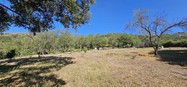 Terrain à Bâtir à vendre à Casares - 480 000 € (Ref: 7793121)