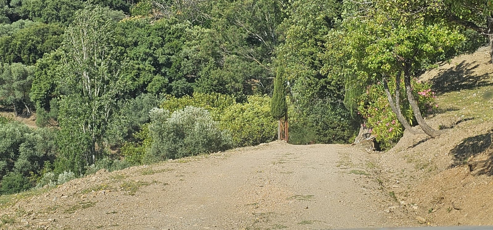 Bauplatz zu verkaufen in Casares - 480.000 € (Ref: 7793121)