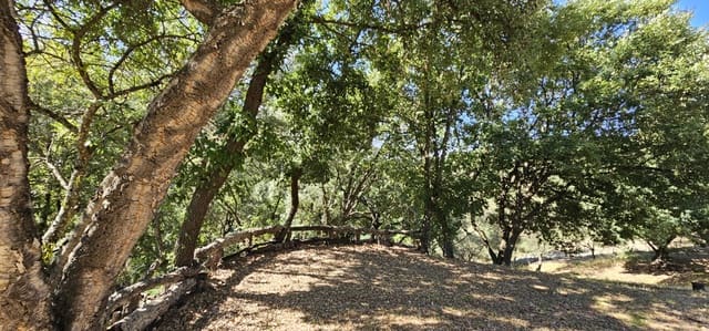 Terrain à Bâtir à vendre à Casares - 480 000 € (Ref: 7793121)