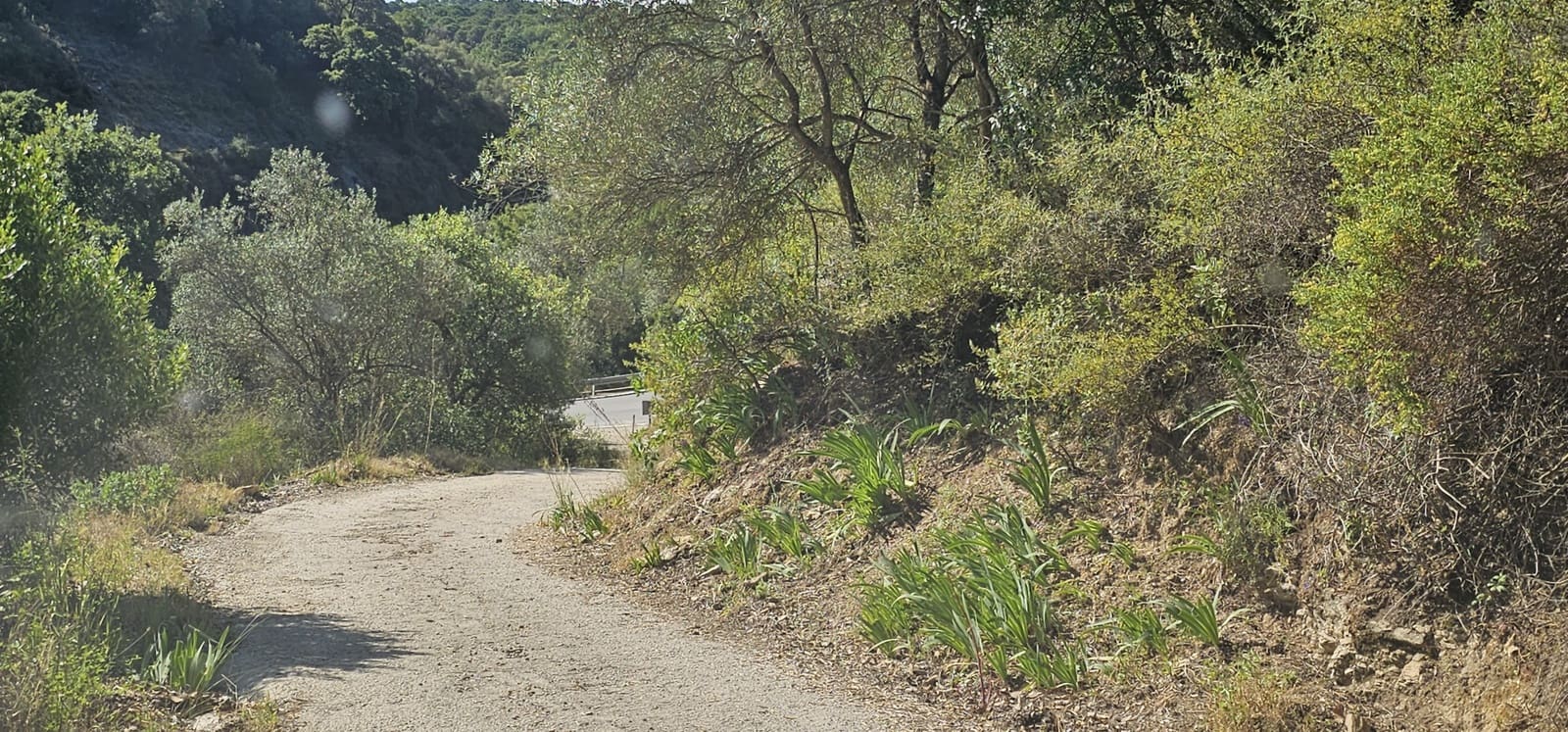Bauplatz zu verkaufen in Casares - 480.000 € (Ref: 7793121)