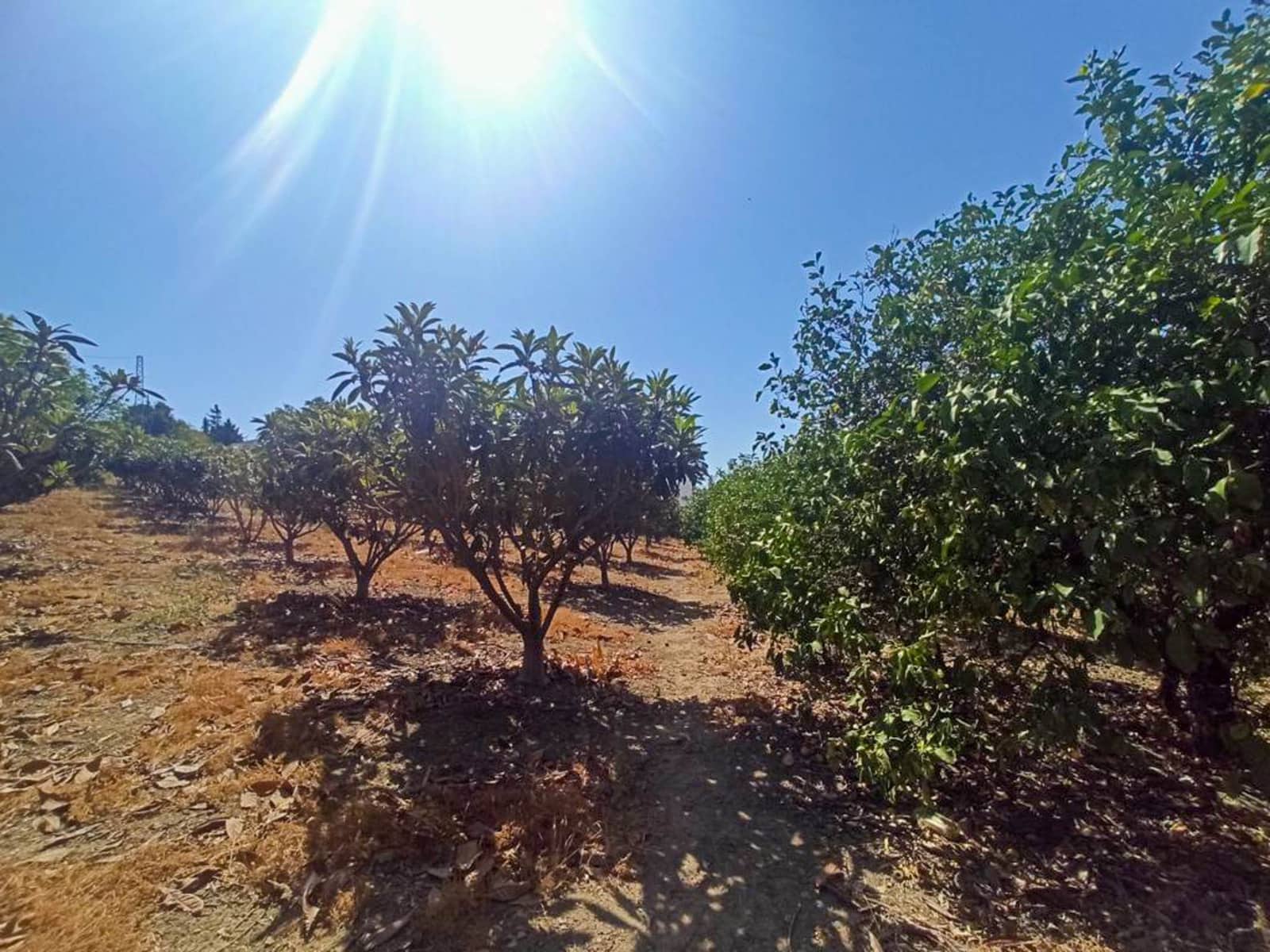 3 quarto Quinta/Casa Rural para venda em Estepona com garagem - 400 000 € (Ref: 7793192)