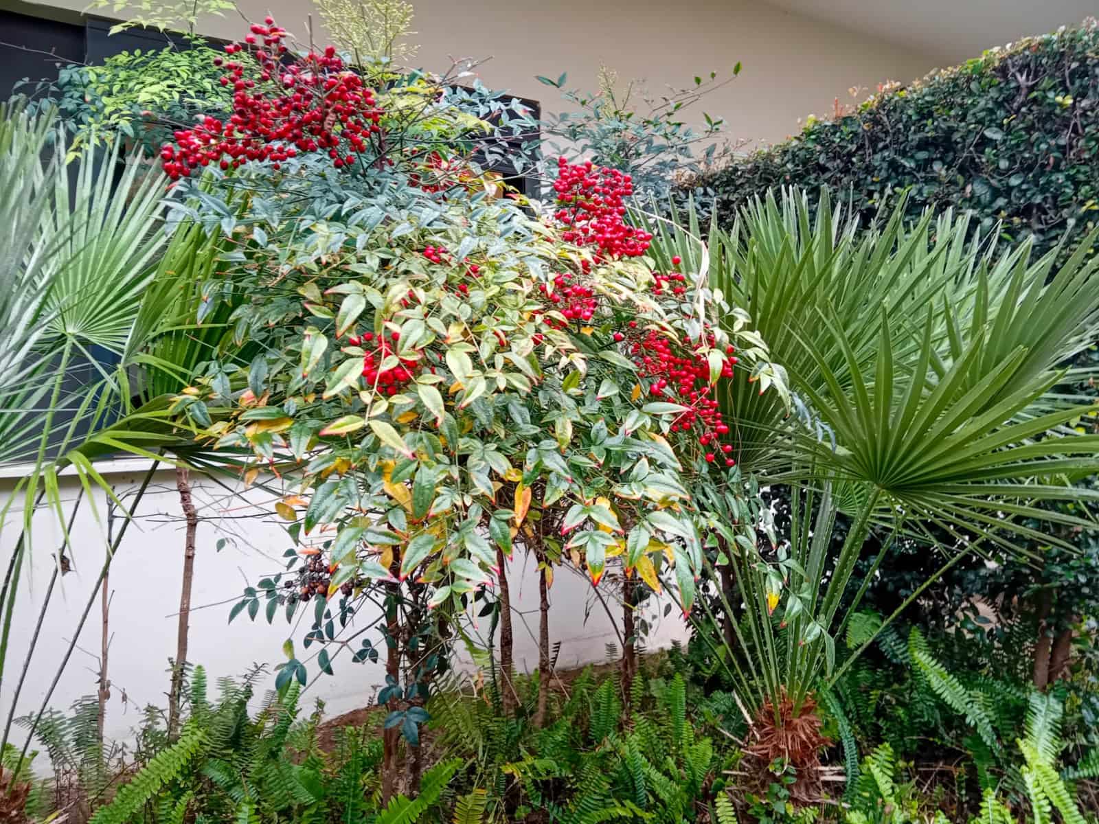 3 sovrum Hus till salu i Manilva med pool garage - 388 500 € (Ref: 8862502)