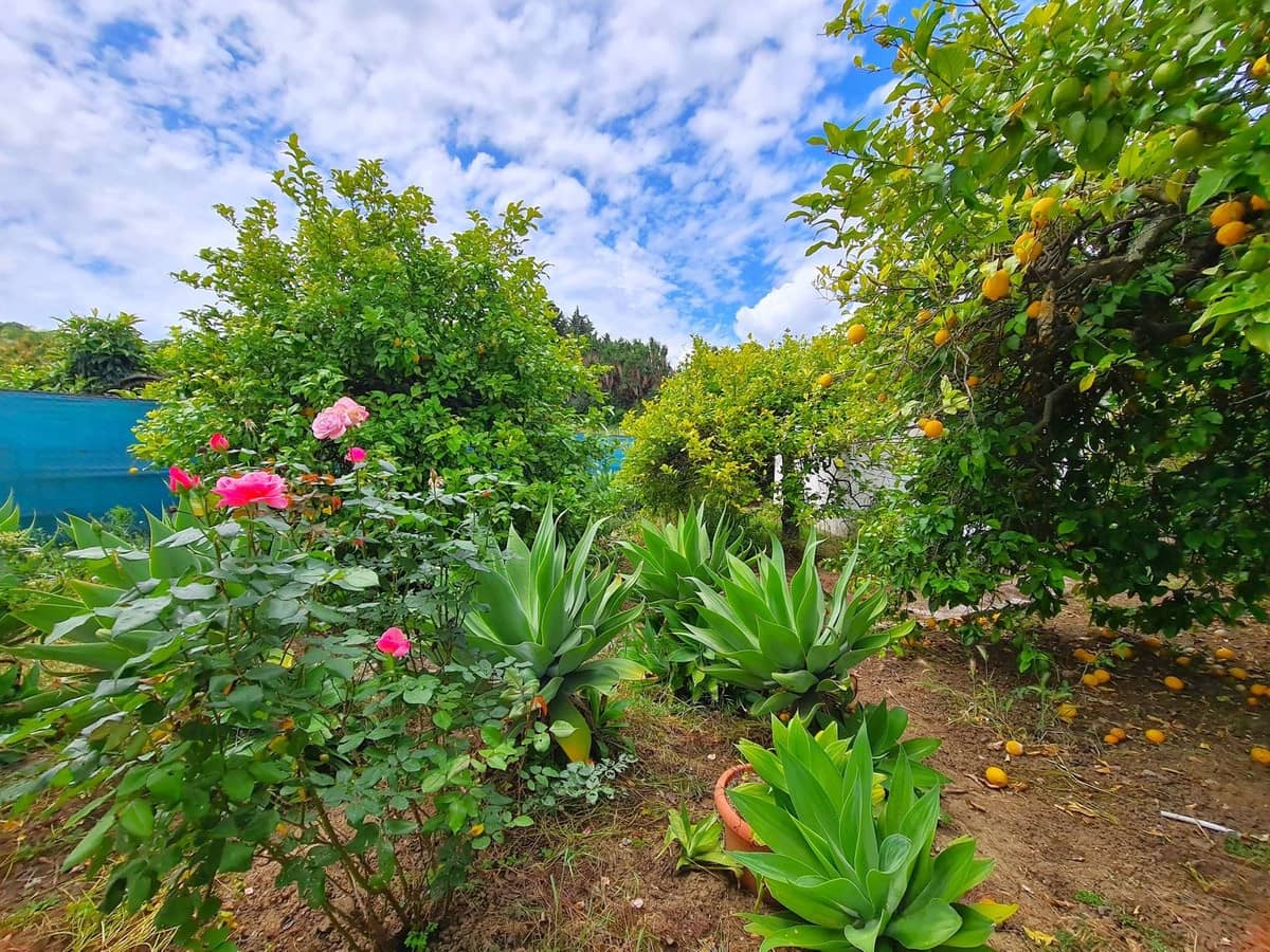 2 soveværelse Finca/Landehus til salg i Cancelada med swimmingpool garage - € 380.000 (Ref: 8985558)