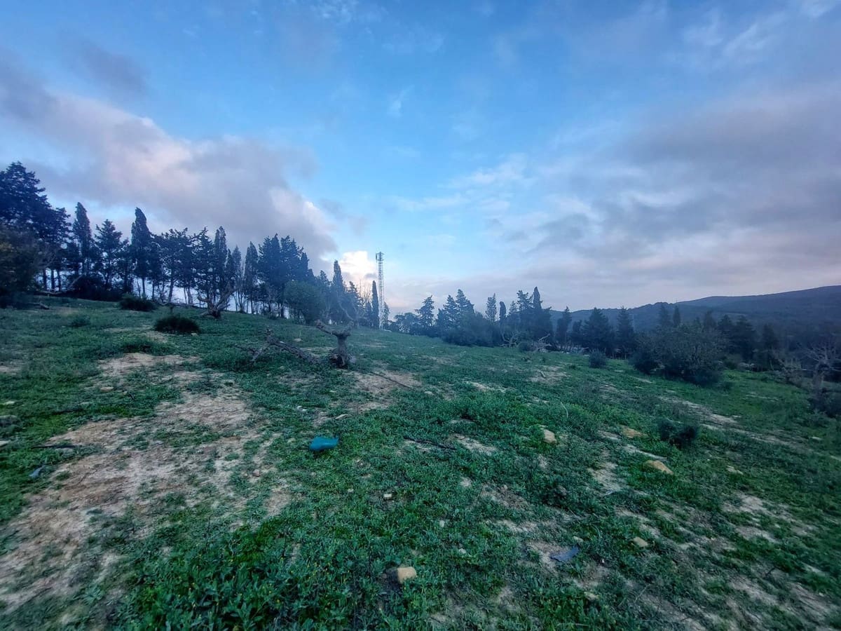 3 soverom Finca/Herregård til salgs i San Martin del Tesorillo med garasje - € 600 000 (Ref: 8985559)