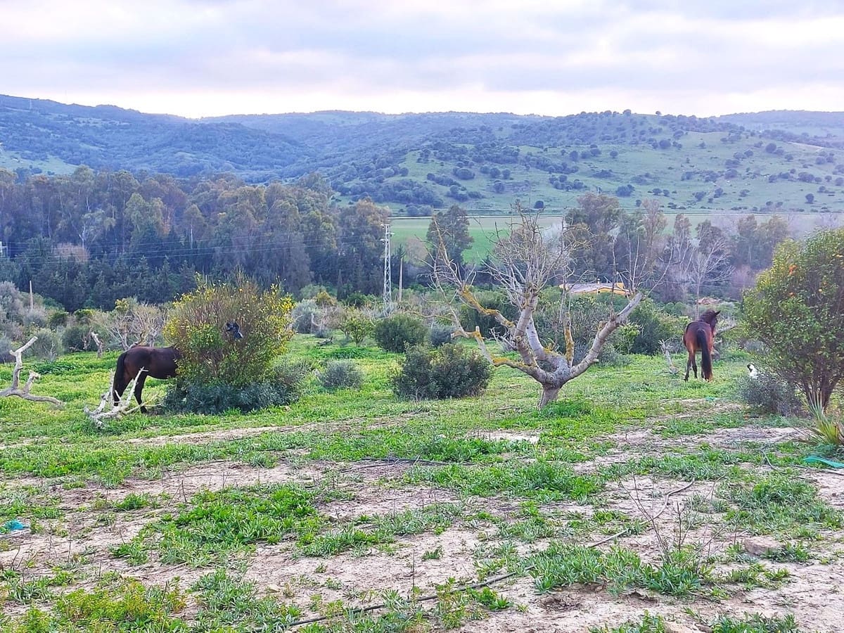 3 Zimmer Finca/Landgut zu verkaufen in San Martin del Tesorillo mit Garage - 600.000 € (Ref: 8985559)