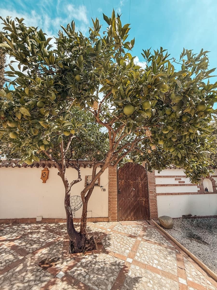 Chalet de 5 habitaciones en Nueva Andalucia en venta con piscina garaje - 1.600.000 € (Ref: 9403214)