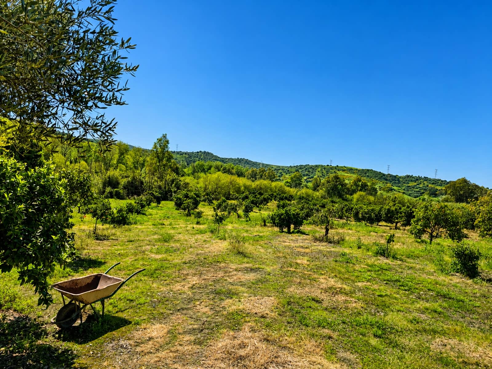 Building Plot for sale in San Martin del Tesorillo - € 295,000 (Ref: 9551035)