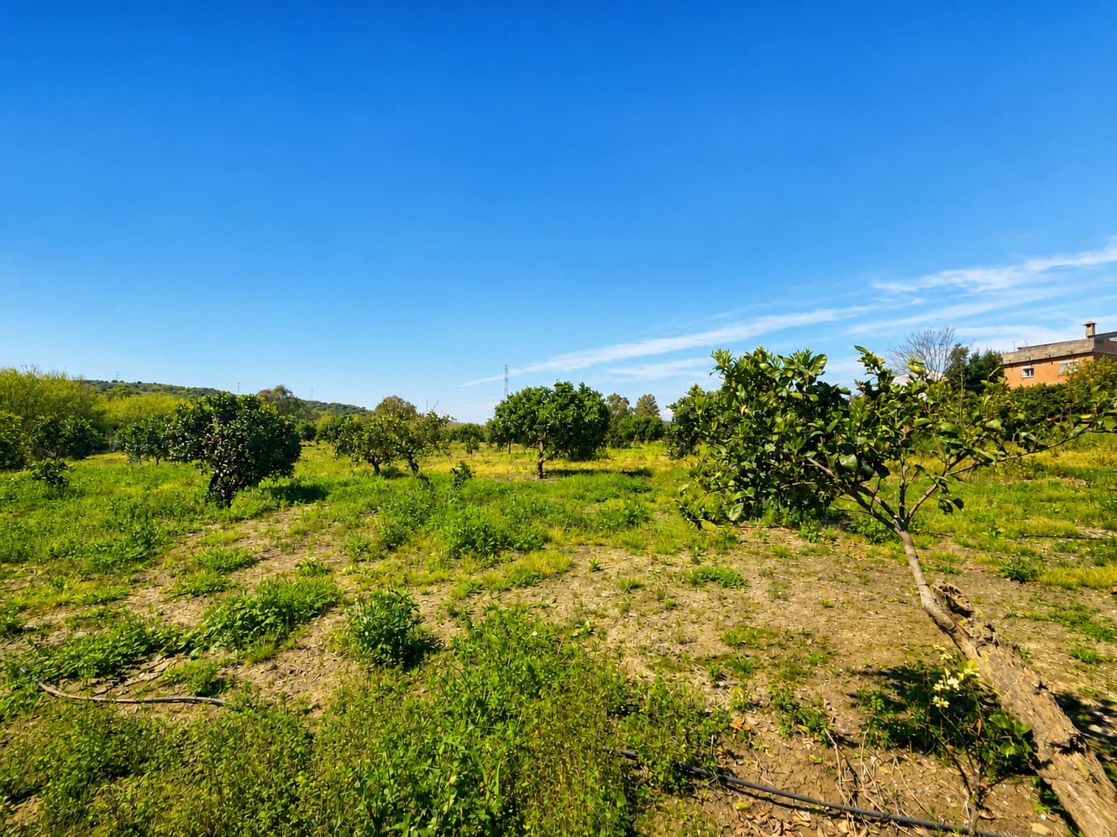 Building Plot for sale in San Martin del Tesorillo - € 295,000 (Ref: 9551035)