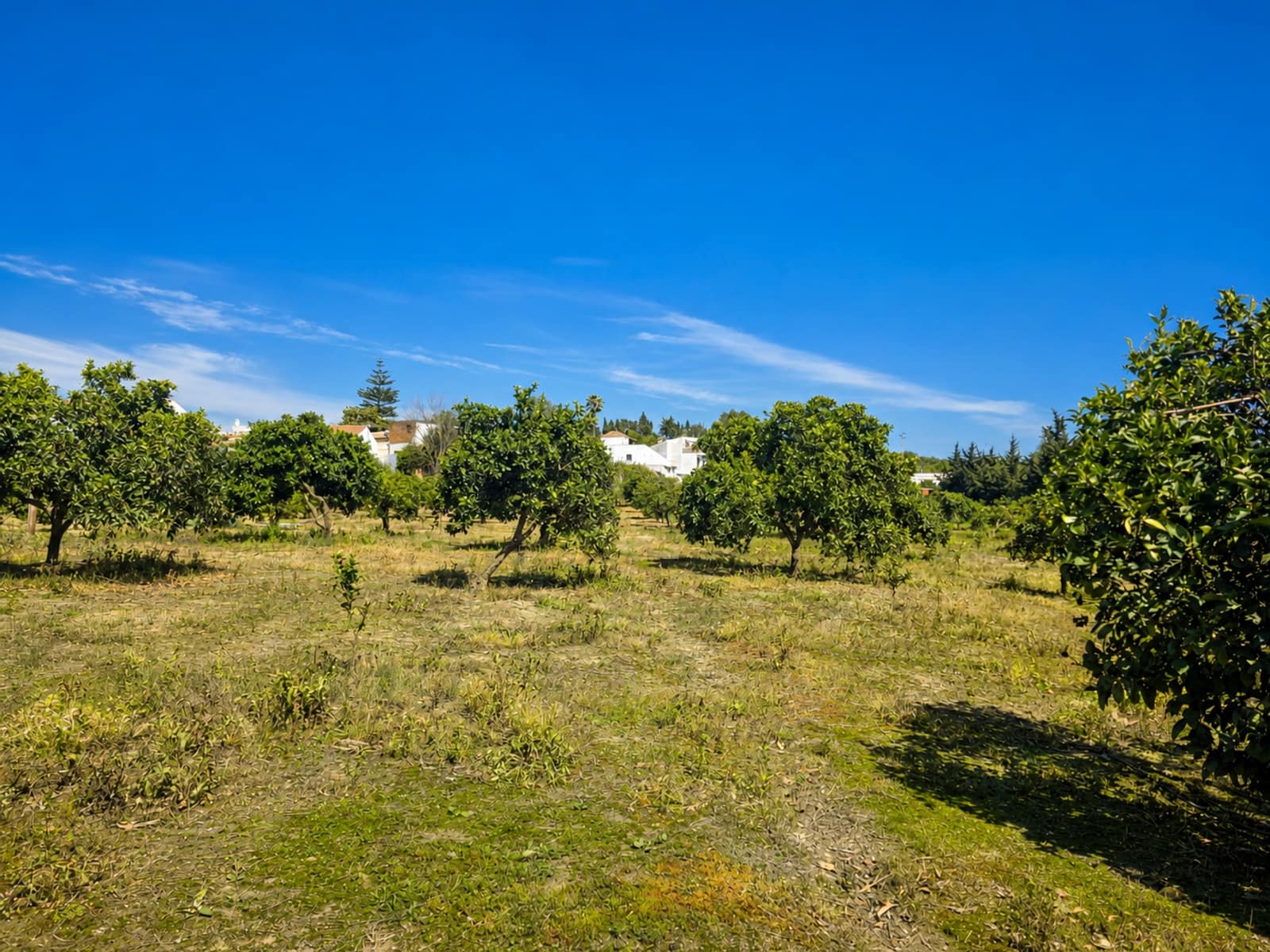 Building Plot for sale in San Martin del Tesorillo - € 295,000 (Ref: 9551035)