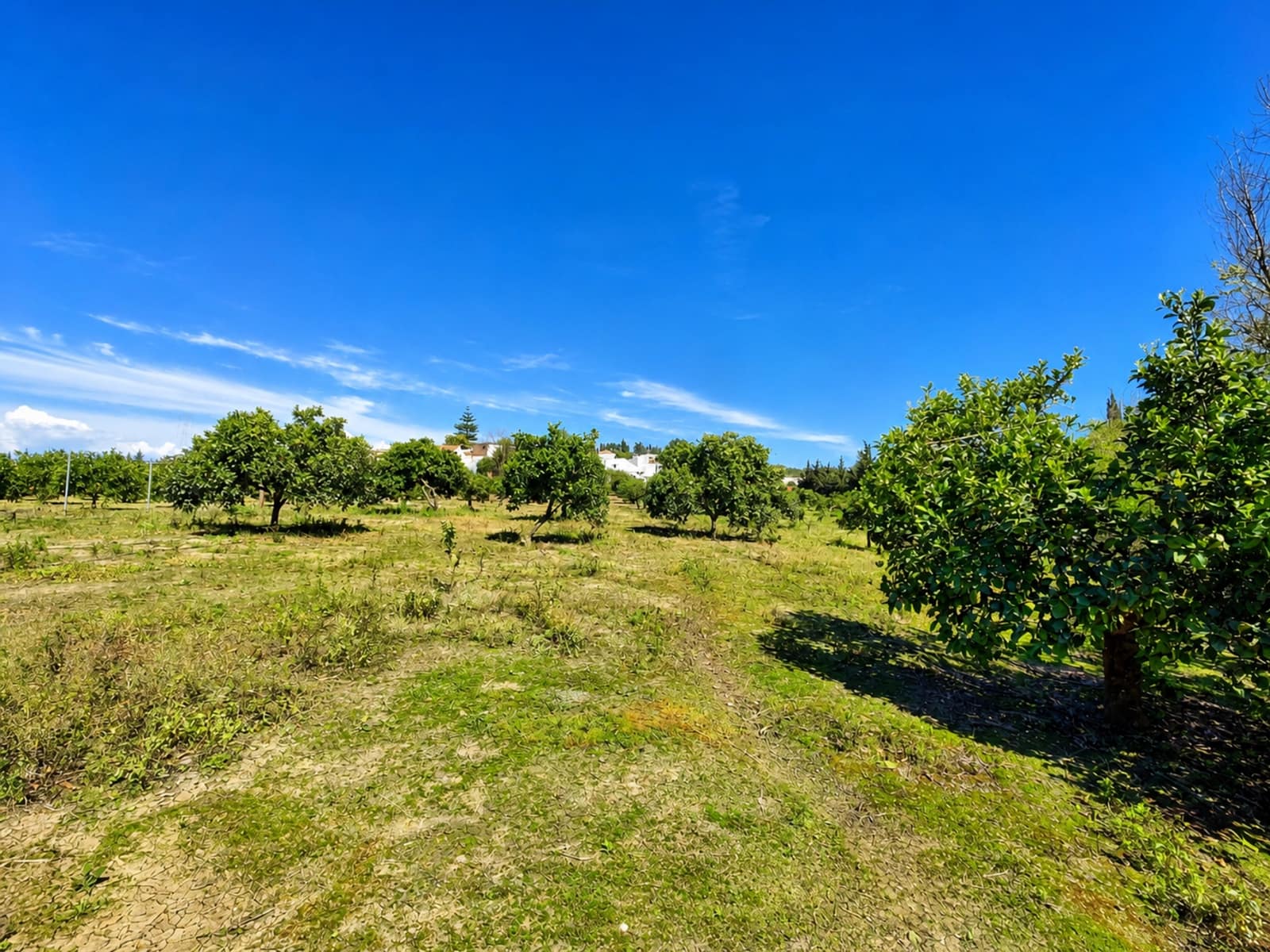 Building Plot for sale in San Martin del Tesorillo - € 295,000 (Ref: 9551035)