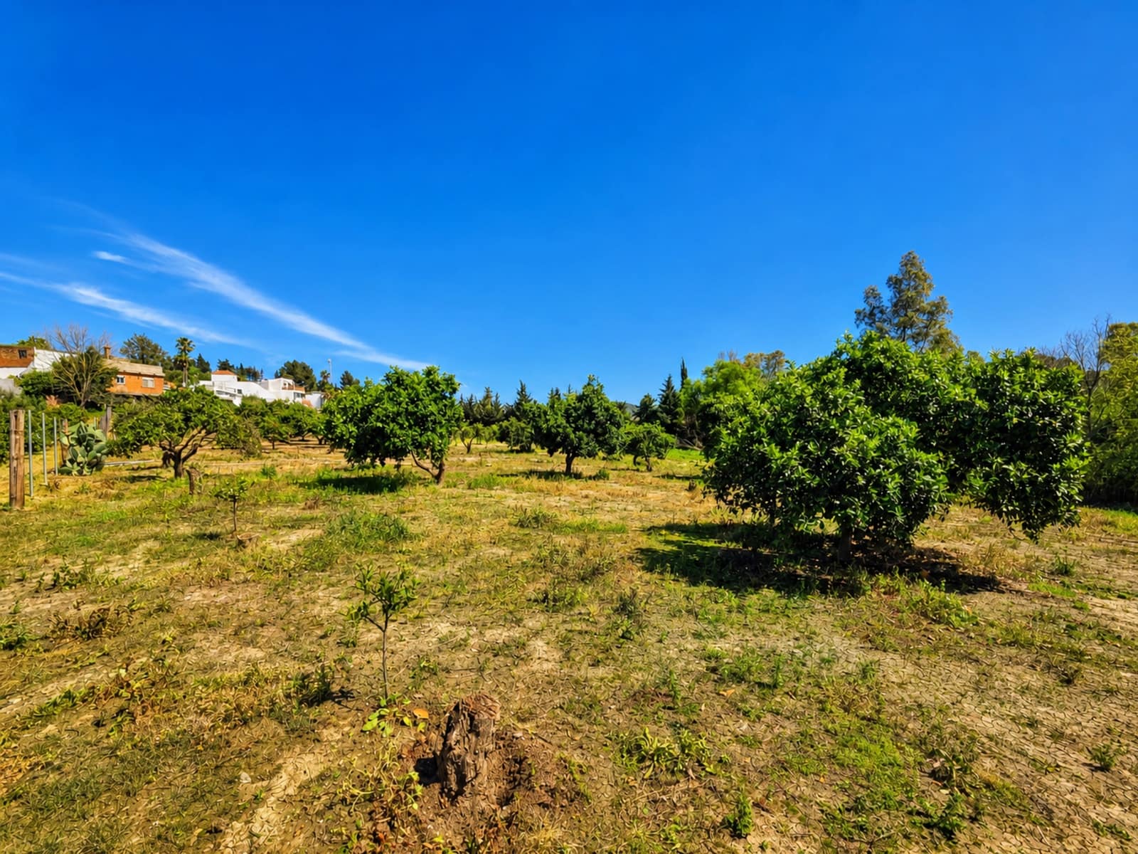 Area Edificabile in vendita in San Martin del Tesorillo - 295.000 € (Rif: 9551035)