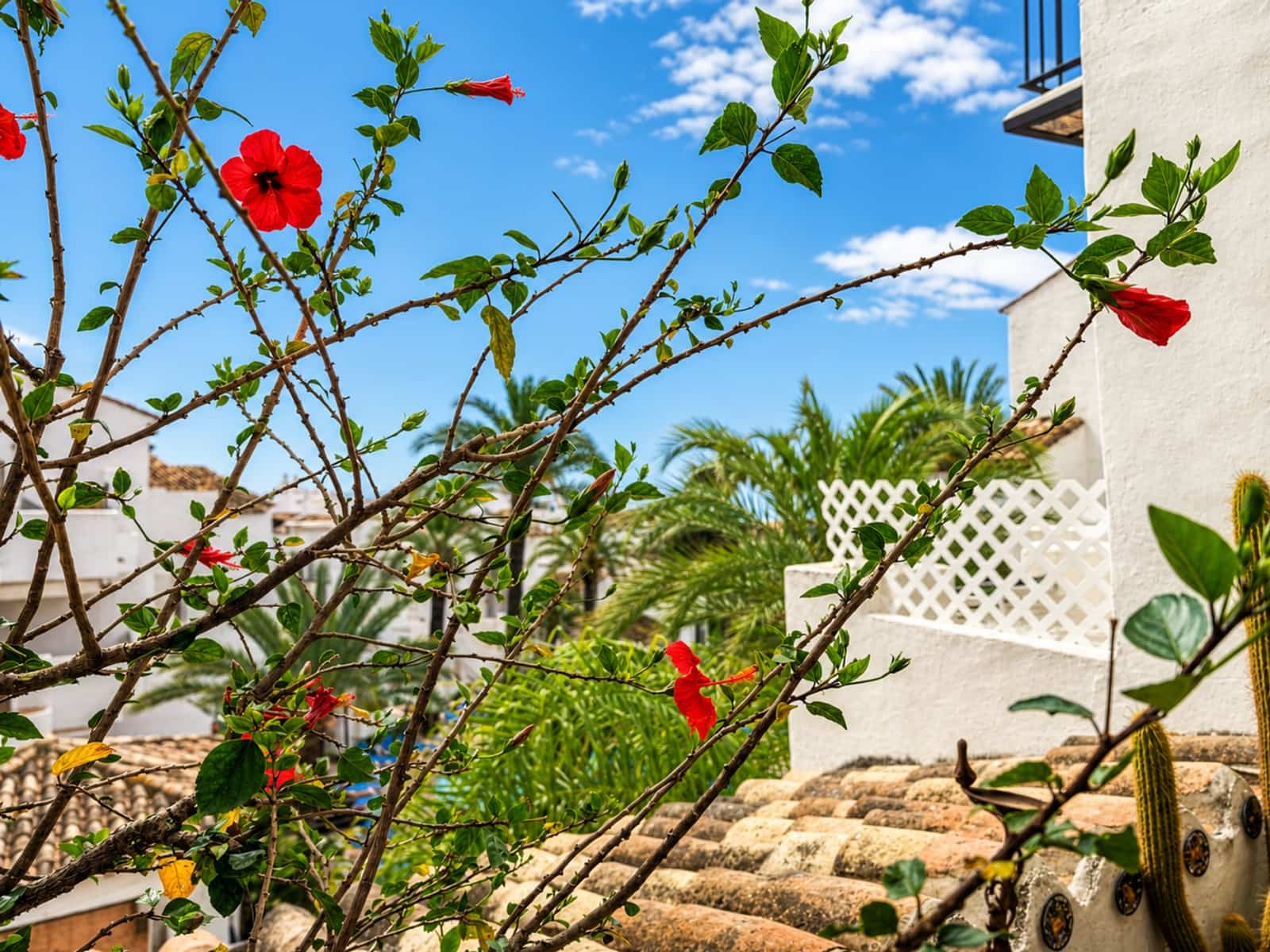 Ático de 2 habitaciones en La Duquesa / Puerto de la Duquesa en venta con piscina - 280.000 € (Ref: 9824802)