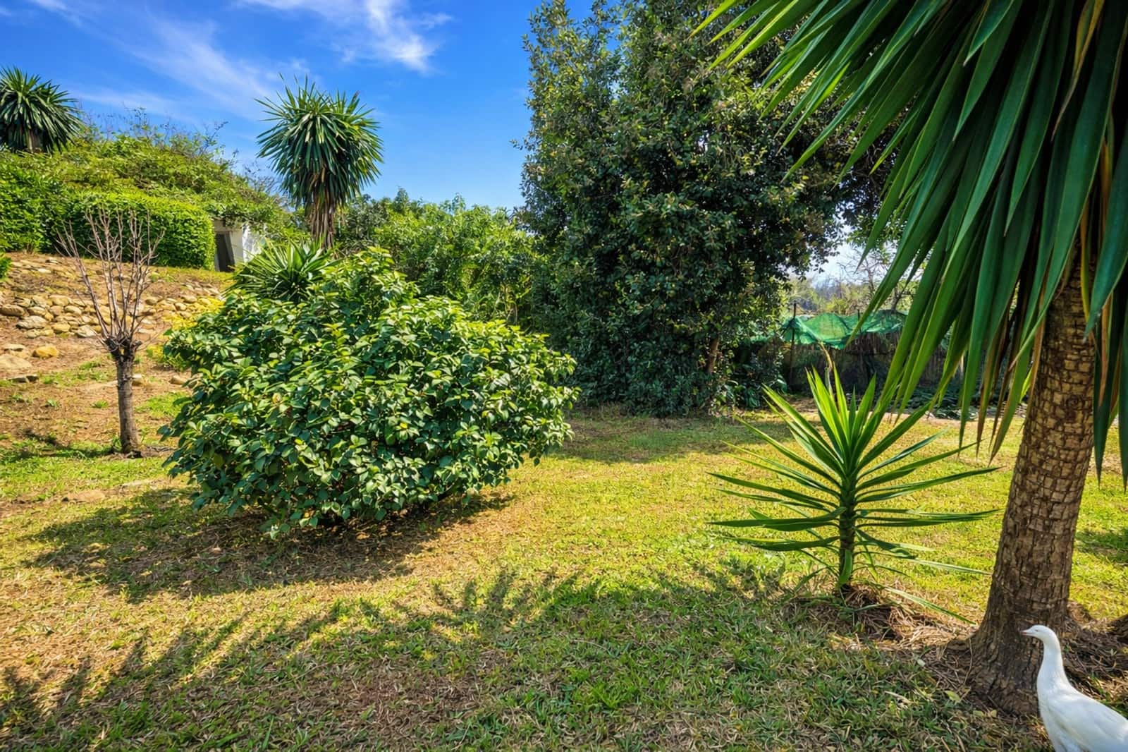 3 camera da letto Villa in vendita in La Duquesa / Puerto de la Duquesa con piscina garage - 430.000 € (Rif: 9873113)