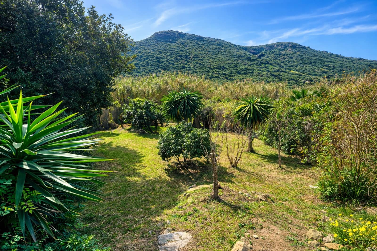 3 camera da letto Villa in vendita in La Duquesa / Puerto de la Duquesa con piscina garage - 430.000 € (Rif: 9873113)