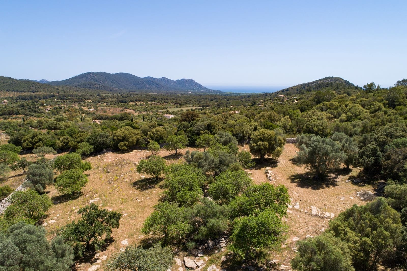 Mark till salu i Arta - 990 000 € (Ref: 10001222)