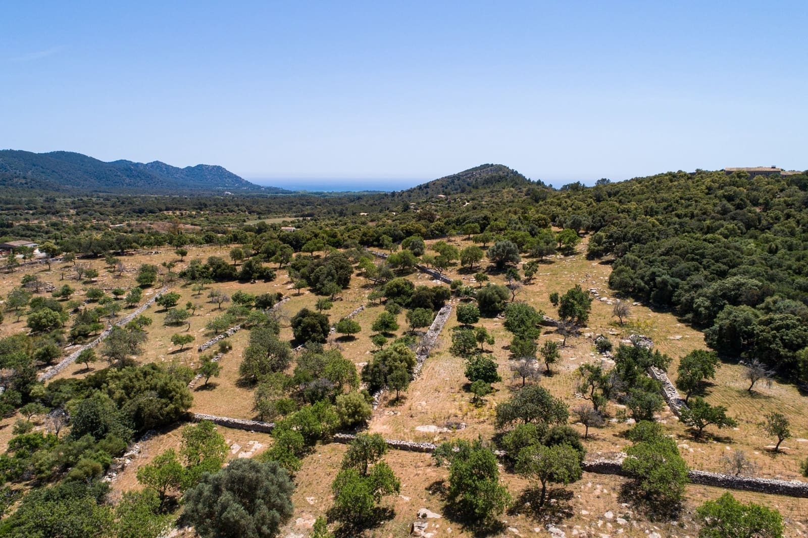 Mark till salu i Arta - 990 000 € (Ref: 10001222)