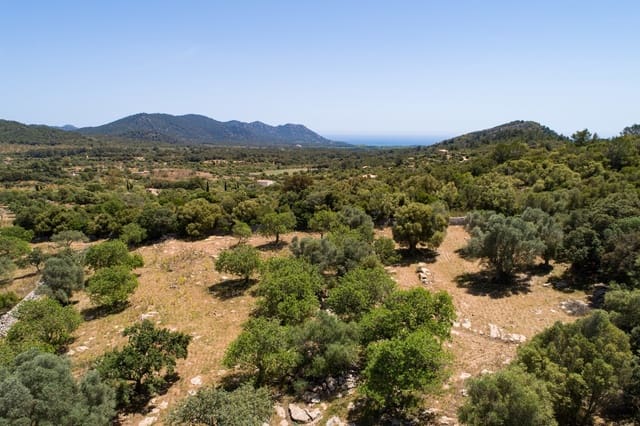 Mark till salu i Artà - 990 000 € (Ref: 10001222)