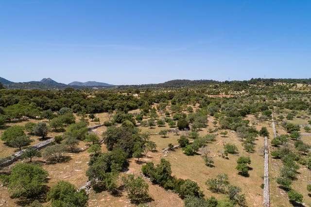 Mark till salu i Artà - 990 000 € (Ref: 10001222)