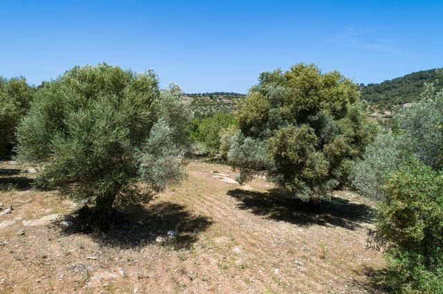 Mark till salu i Artà - 990 000 € (Ref: 10001222)