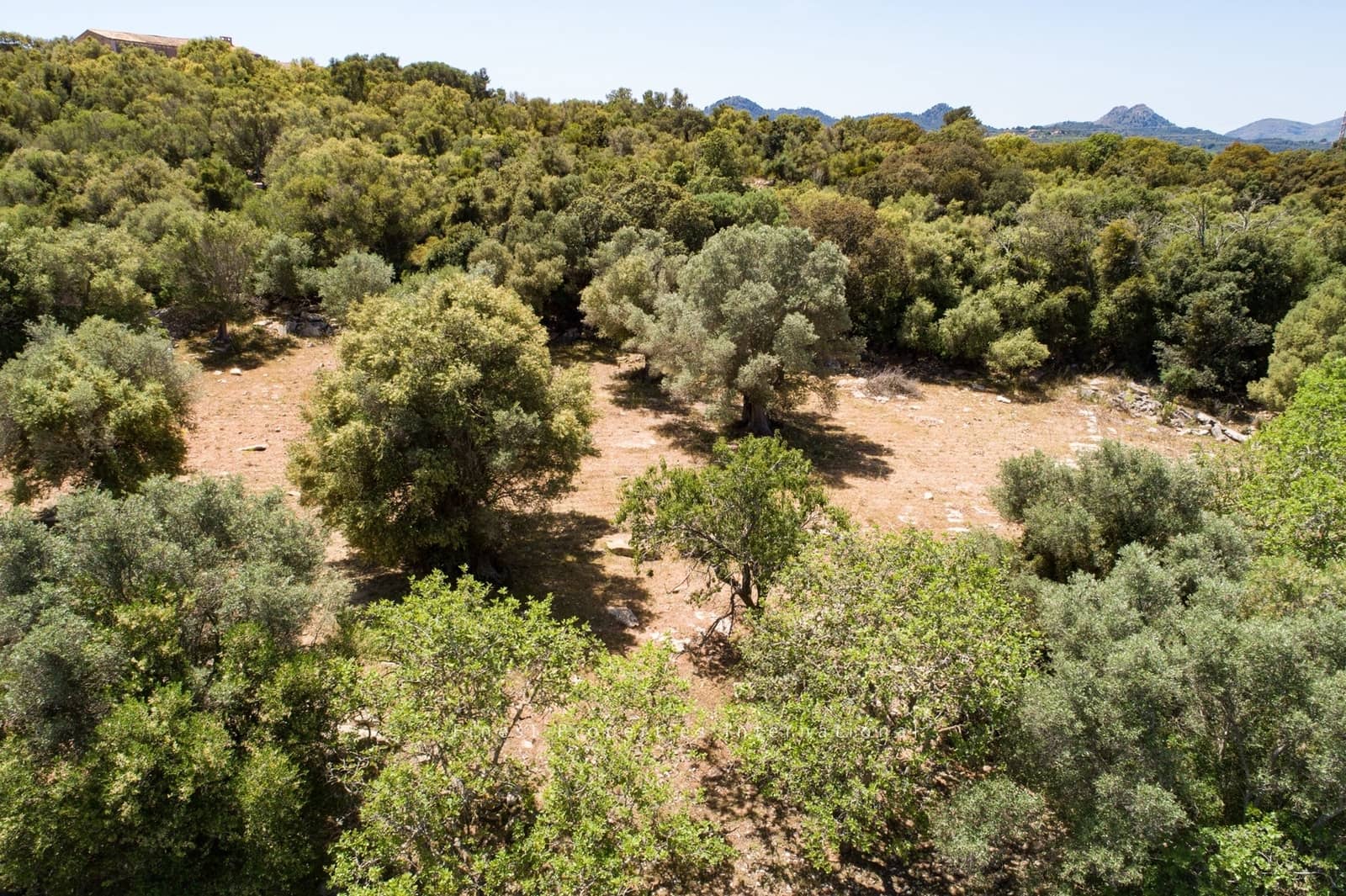 Mark till salu i Arta - 990 000 € (Ref: 10001222)