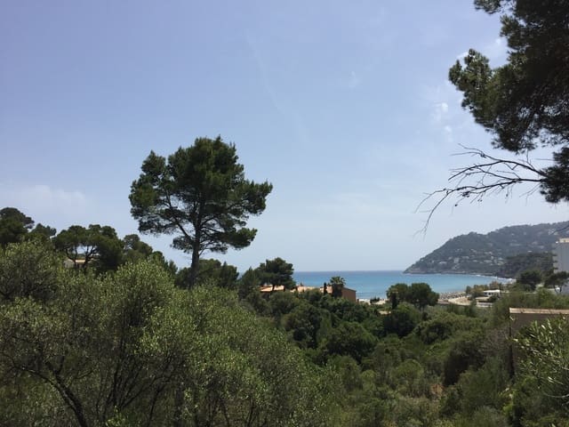 Terreno Non Edificato in vendita in Canyamel, Capdepera - 365.000 € (Rif: 10150537)