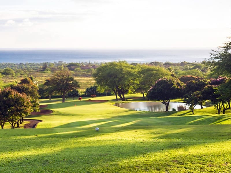 2 sypialnia Apartament na sprzedaż w Canyamel z basenem garażem - 585 000 € (Ref: 9164576)