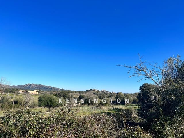 Undeveloped Land for sale in Artà - € 500,000 (Ref: 9164582)