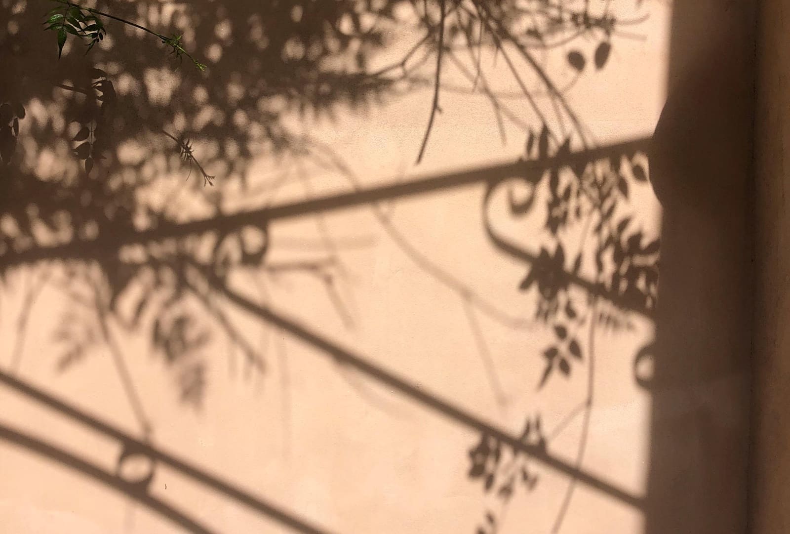 5 soveværelse Byhus til salg i Arta - € 850.000 (Ref: 9164593)