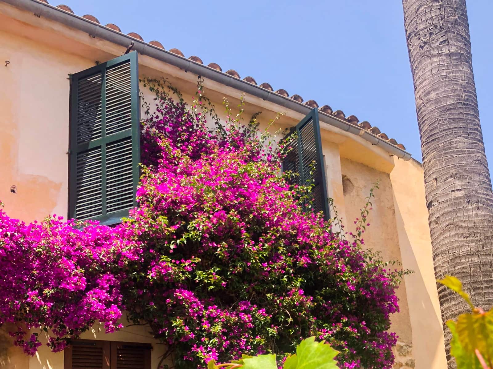 5 soveværelse Byhus til salg i Arta - € 850.000 (Ref: 9164593)