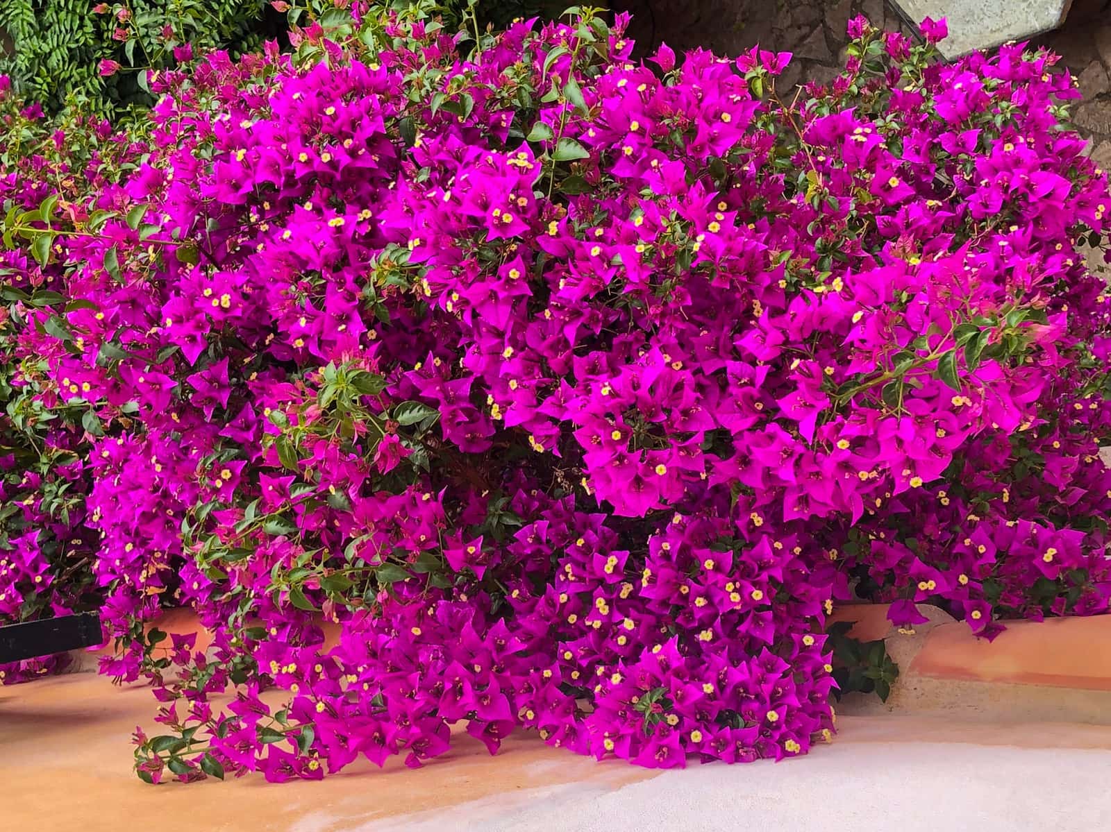 5 soveværelse Byhus til salg i Arta - € 850.000 (Ref: 9164593)