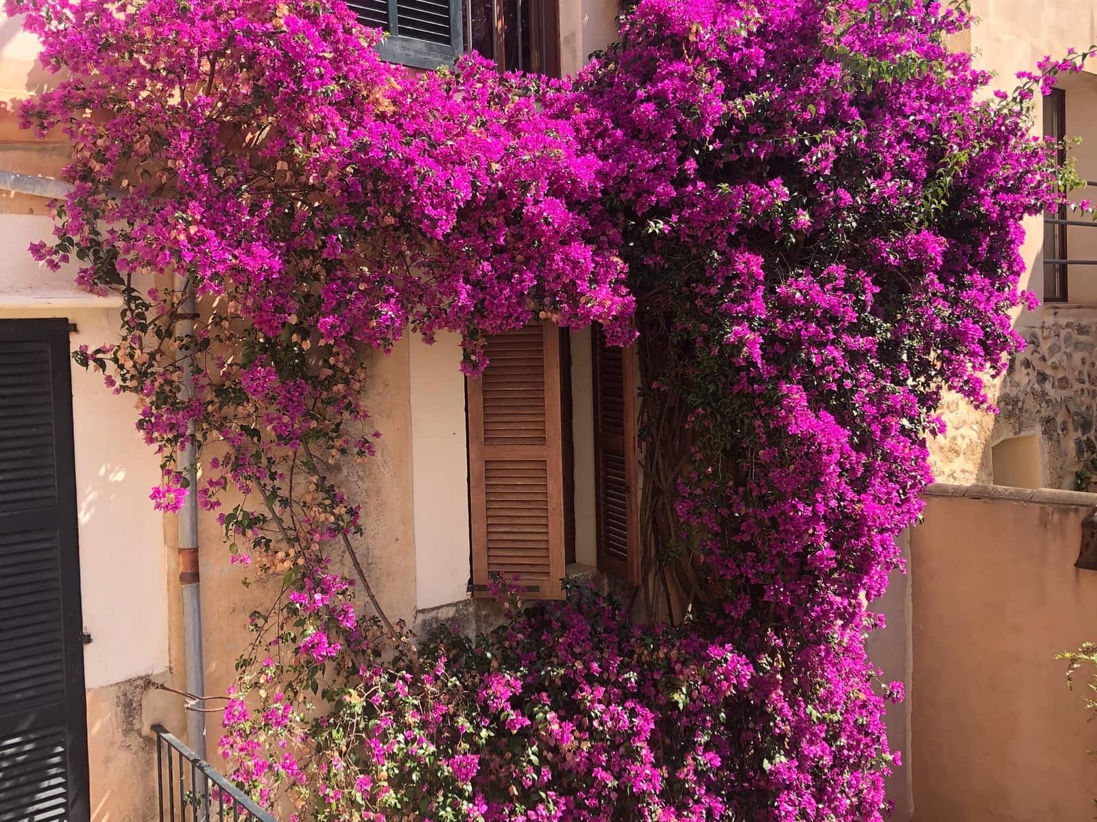 5 soveværelse Byhus til salg i Arta - € 850.000 (Ref: 9164593)