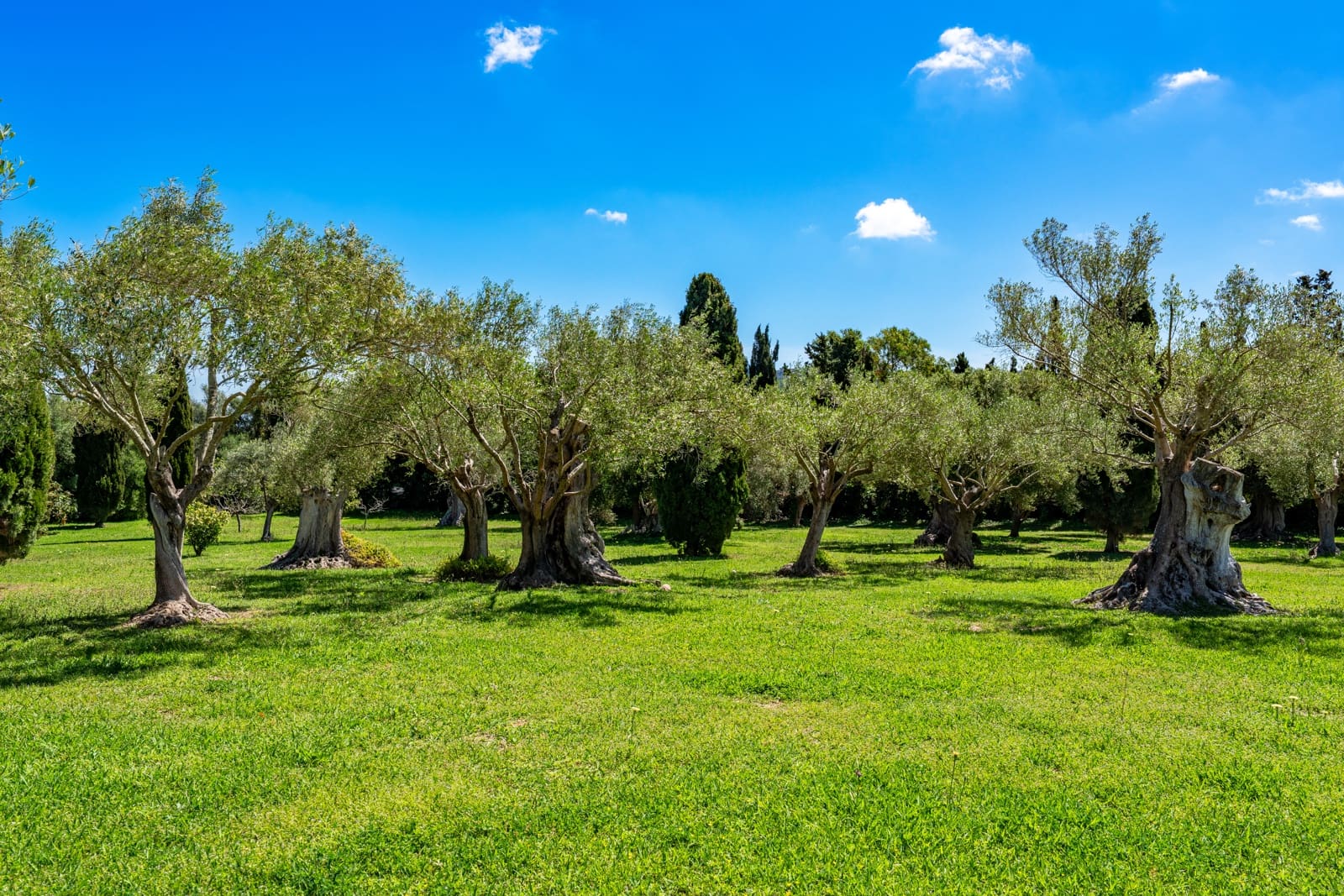 5 sypialnia Willa na sprzedaż w Capdepera z basenem garażem - 4 200 000 € (Ref: 9164610)