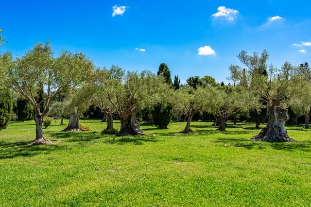 5 sypialnia Willa na sprzedaż w Capdepera z basenem garażem - 4 200 000 € (Ref: 9164610)