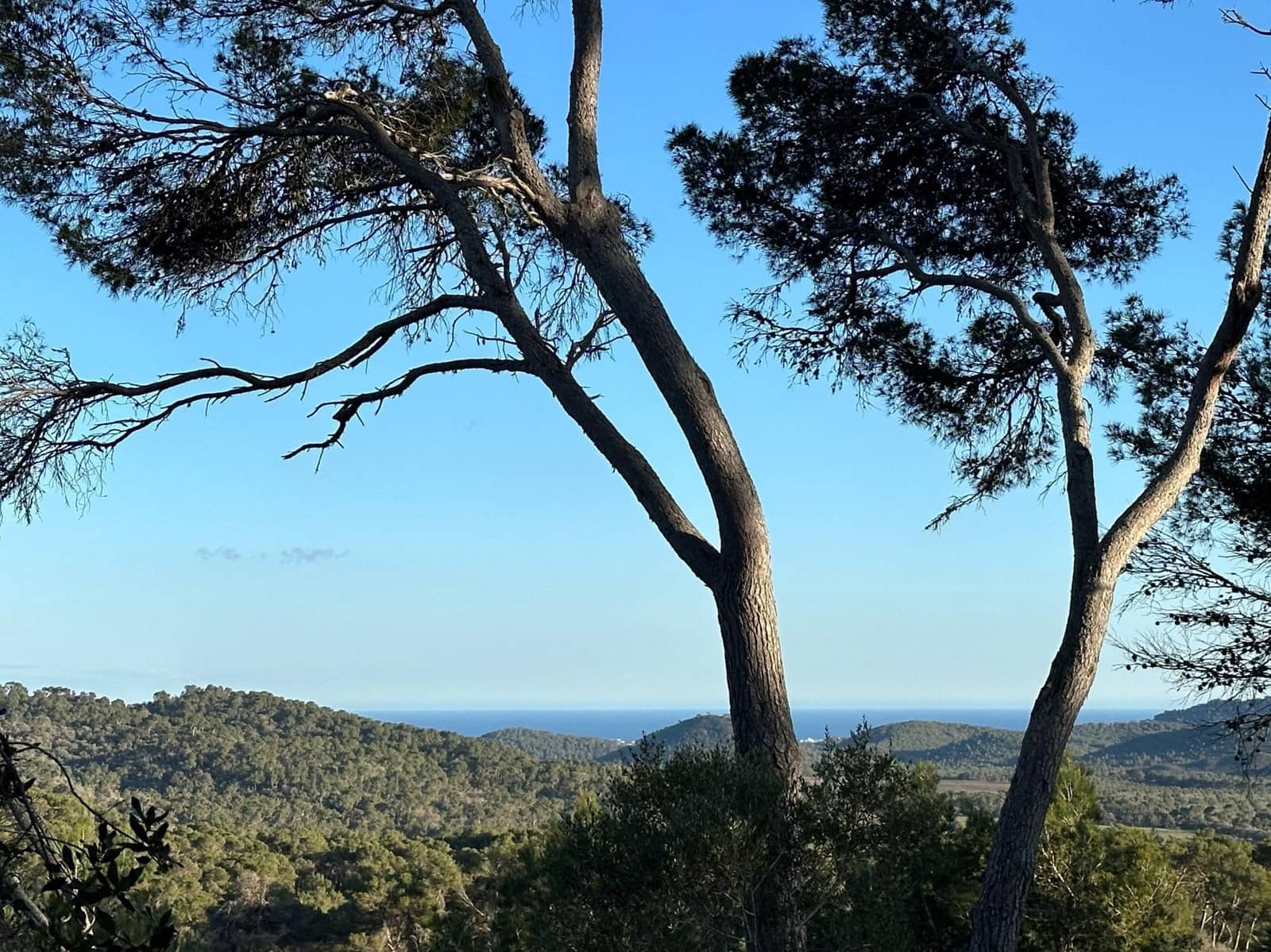 4 soveværelse Finca/Landehus til salg i Manacor med swimmingpool - € 4.950.000 (Ref: 9164621)