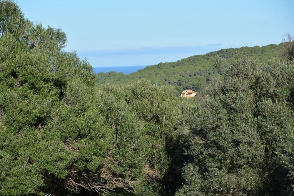 7 soveværelse Finca/Landehus til salg i Capdepera med swimmingpool - € 6.500.000 (Ref: 9164631)