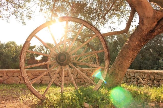 7 slaapkamer Finca/Landhuis te koop in Capdepera met zwembad - € 6.500.000 (Ref: 9164631)