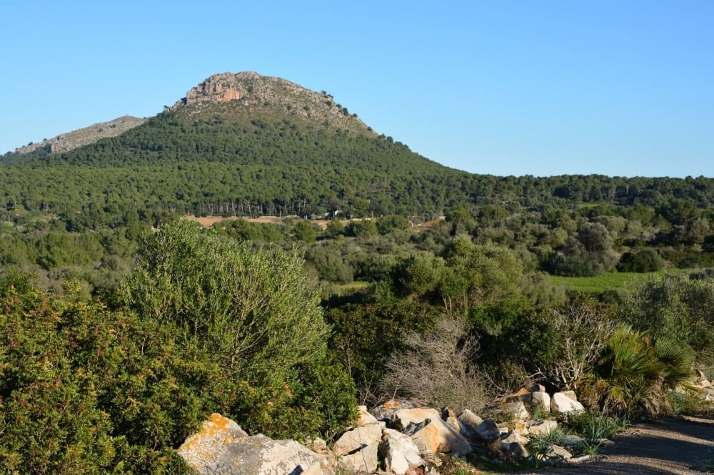 7 soveværelse Finca/Landehus til salg i Capdepera med swimmingpool - € 6.500.000 (Ref: 9164631)