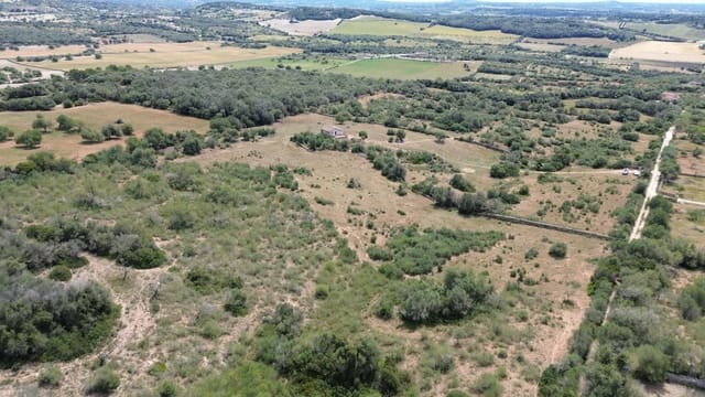 Grunde uden byggetilladelser til salg i Manacor - € 1.500.000 (Ref: 9164640)