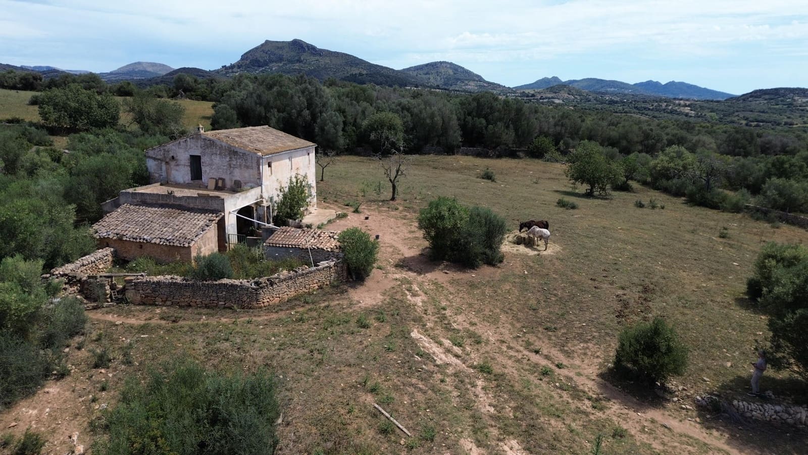 Grunde uden byggetilladelser til salg i Manacor - € 1.500.000 (Ref: 9164640)