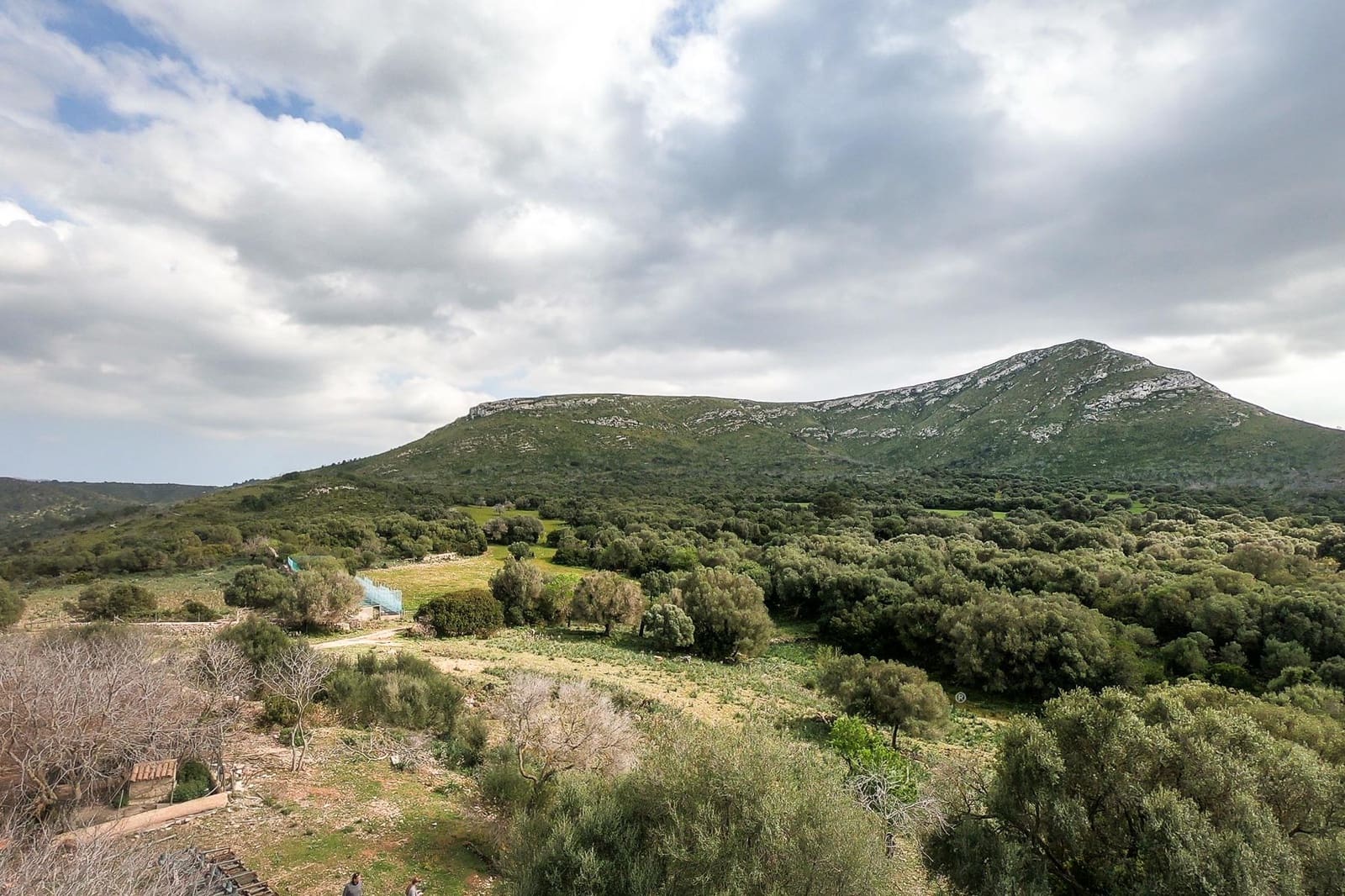 5 soveværelse Finca/Landehus til salg i Arta - € 7.800.000 (Ref: 9164647)