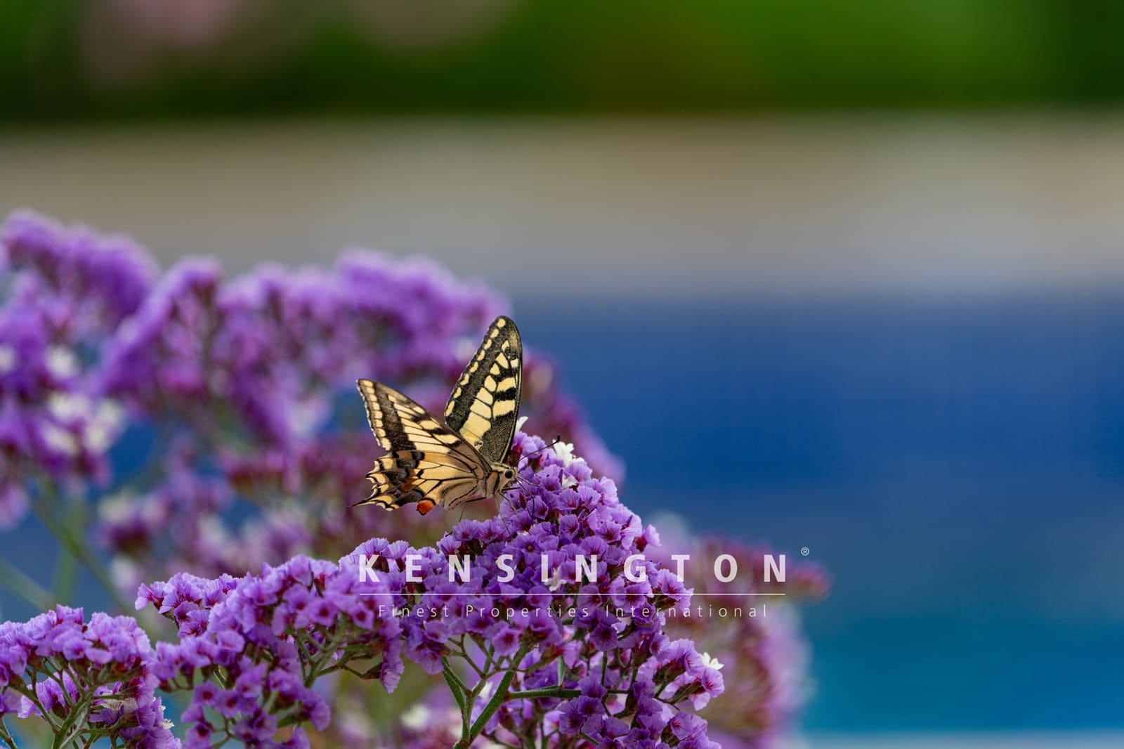 4 soveværelse Villa til salg i Sant Llorenc des Cardassar med swimmingpool - € 1.990.000 (Ref: 9164651)