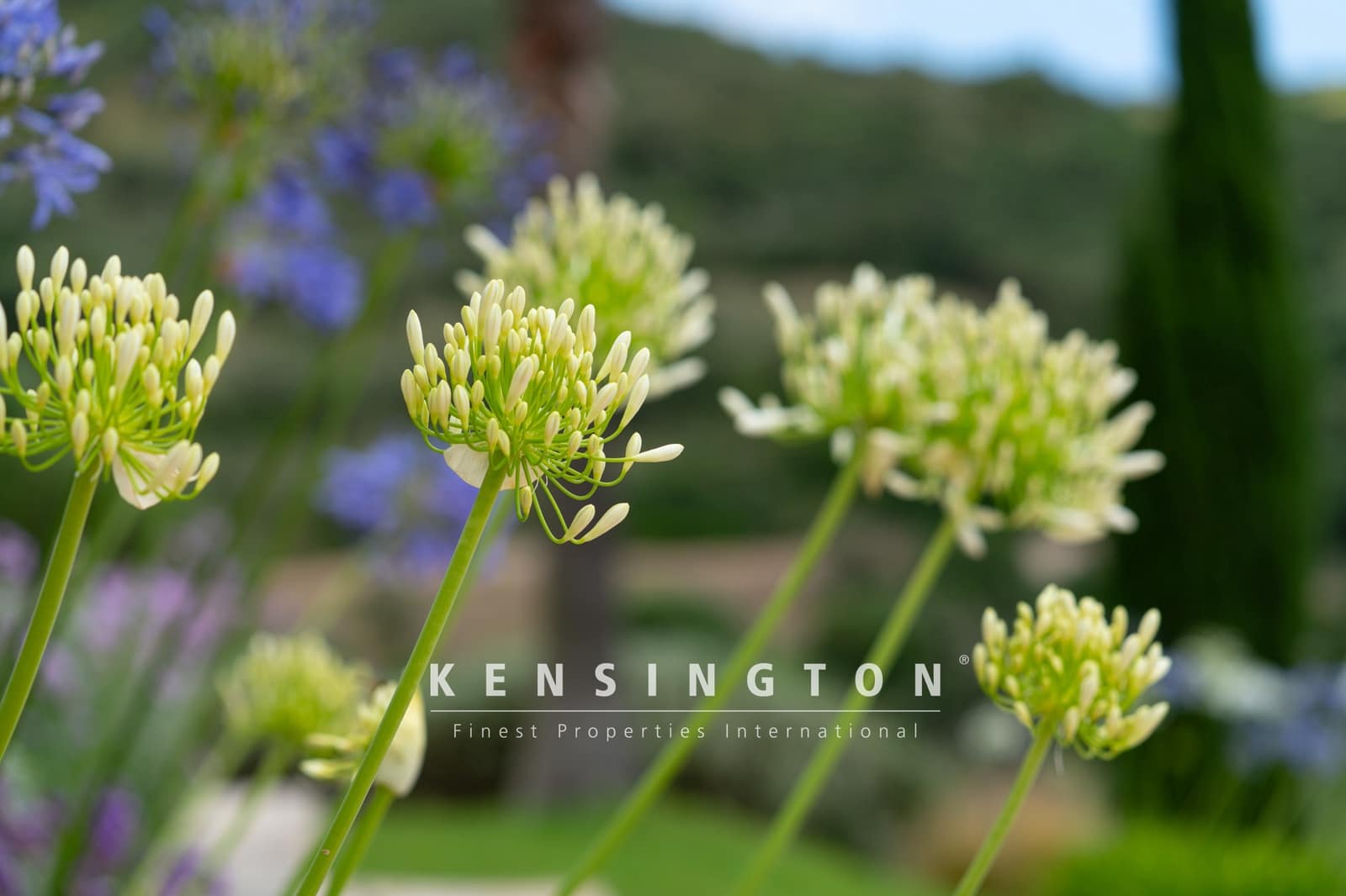 4 soveværelse Villa til salg i Sant Llorenc des Cardassar med swimmingpool - € 1.990.000 (Ref: 9164651)