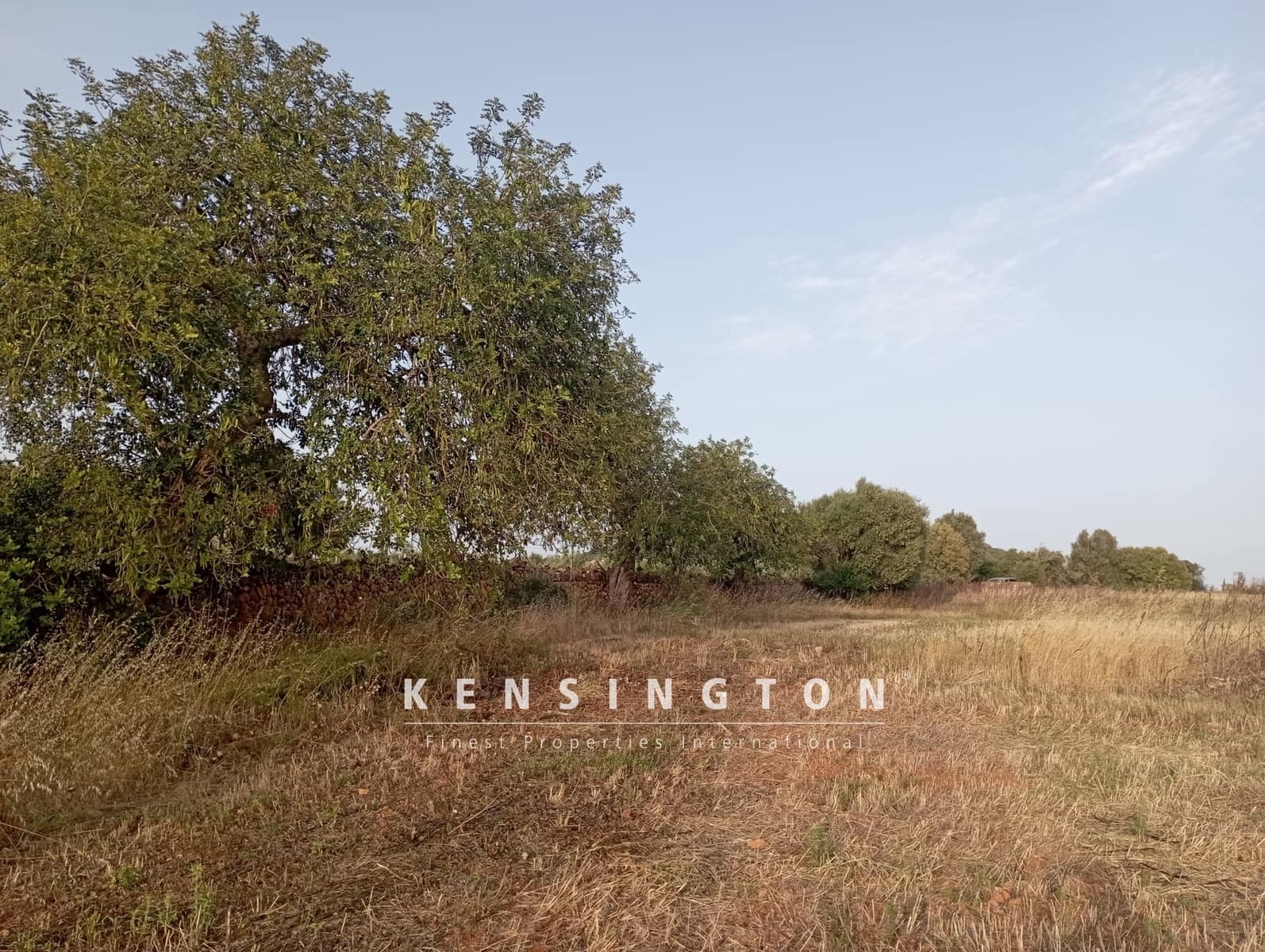 3 chambre Villa/Maison à vendre à Manacor - 320 000 € (Ref: 9164652)